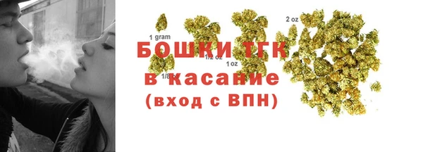 прущие грибы Алексеевка