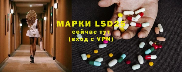 прущие грибы Алексеевка