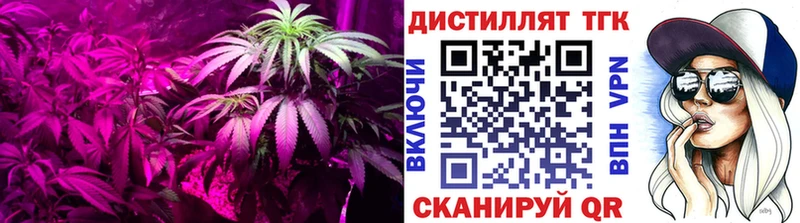 ТГК жижа  Бавлы 