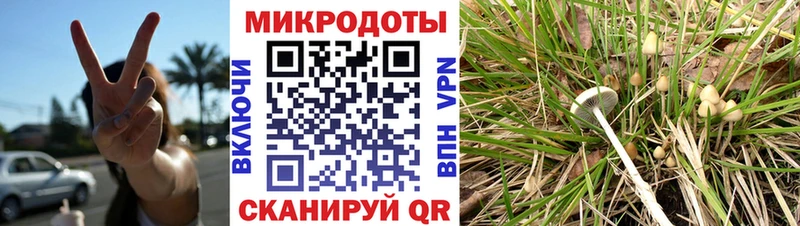 цены наркотик Бавлы Псилоцибиновые грибы Psilocybine cubensis