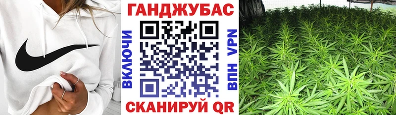 Бошки марихуана Amnesia  Бавлы 